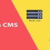 Headless Wordpress CMS