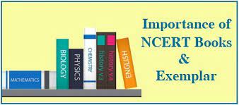 Advantages Of Using NCERT Book For Class 9 Maths