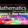 RS Aggarwal Solutions Class 9 Chapter 1 Real Numbers