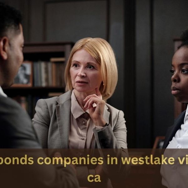 bail bonds companies in westlake village ca